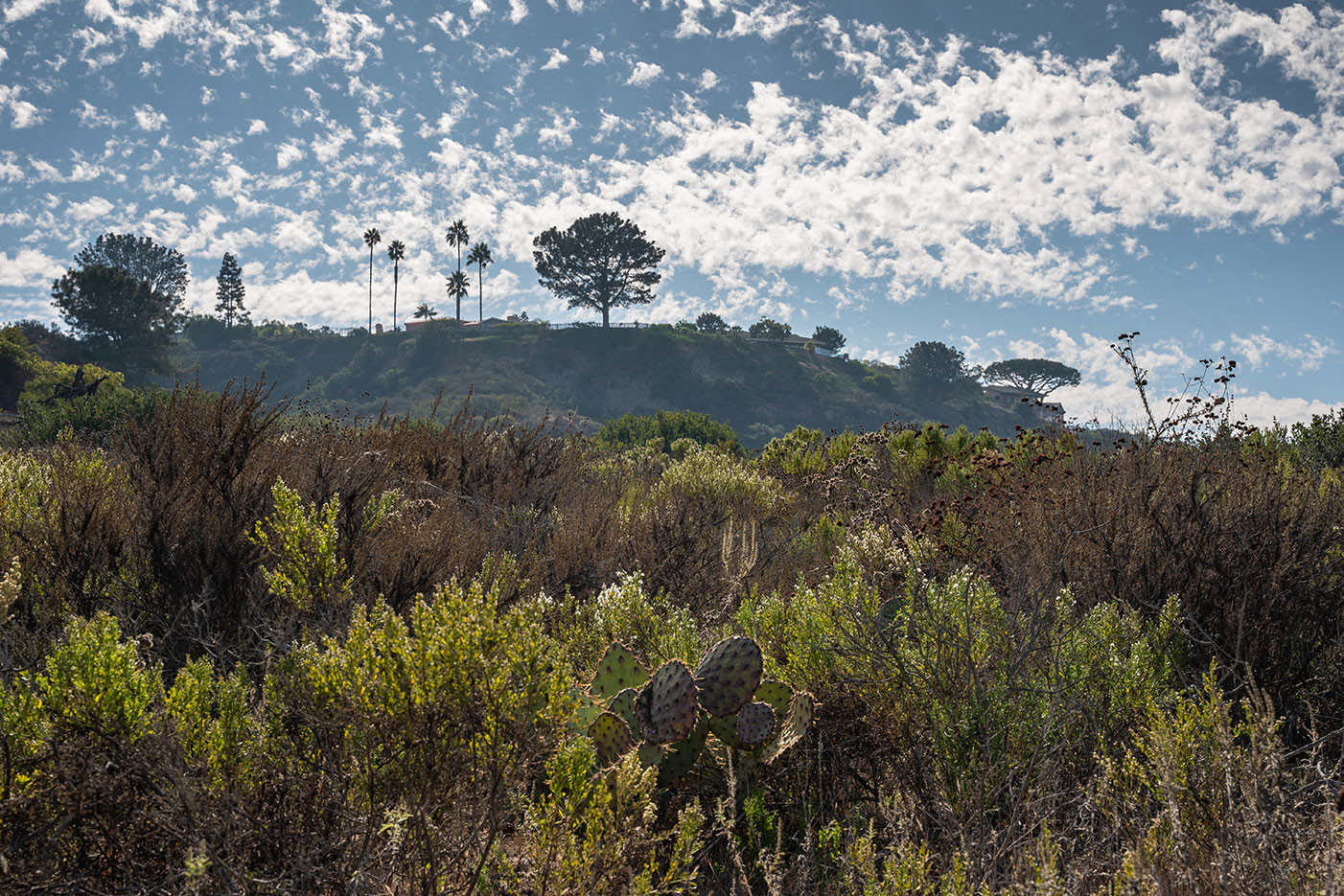 annies-canyon-trail-view.jpg