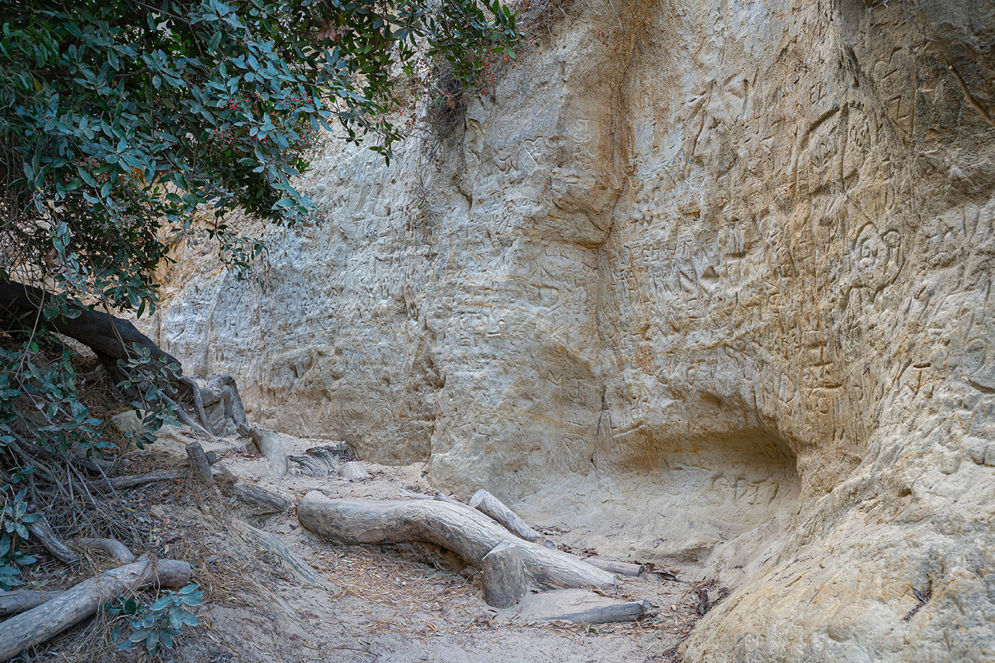 annies-canyon-carved-wall.jpg