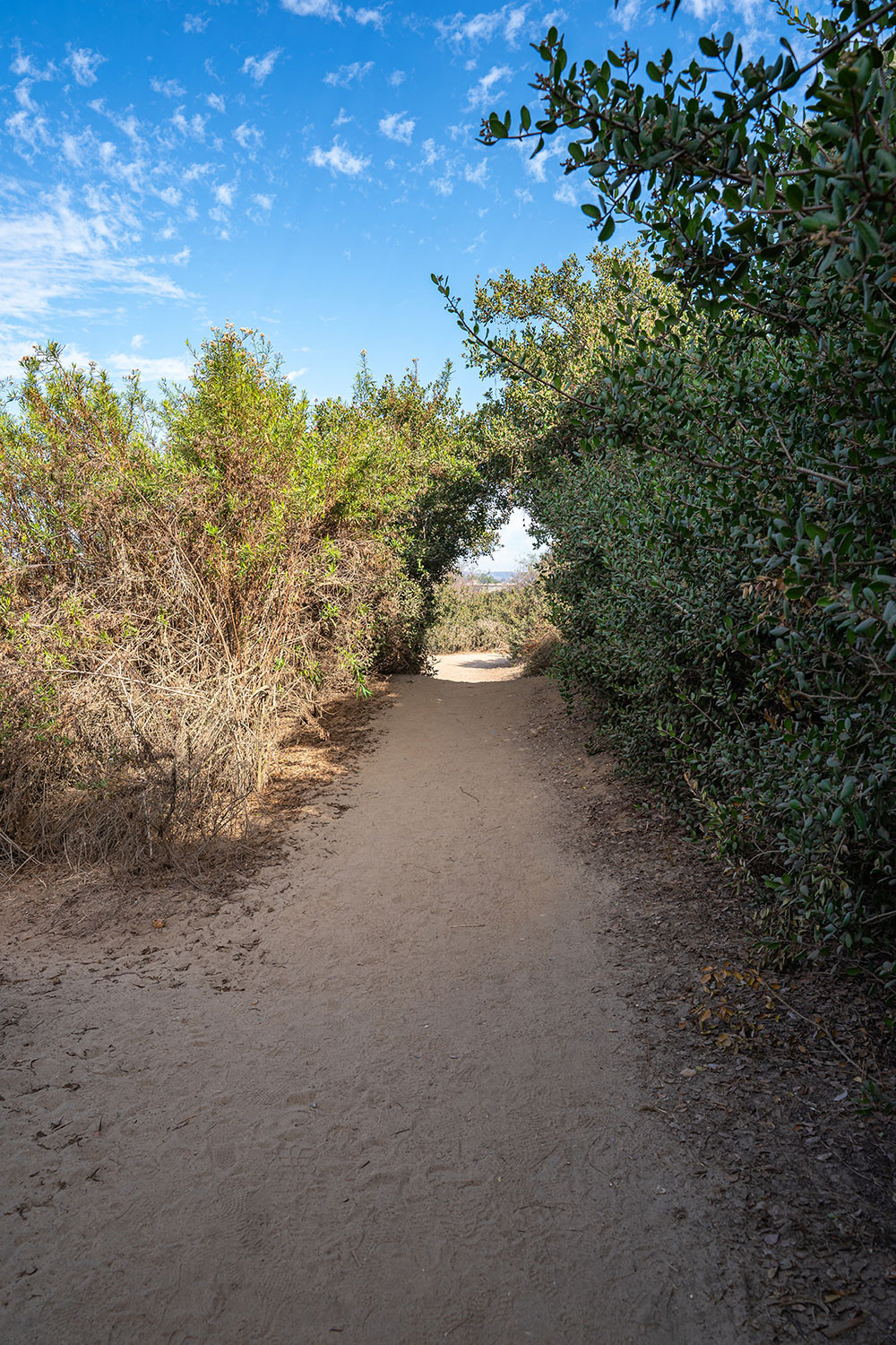 annies-canyone-trail-start.jpg