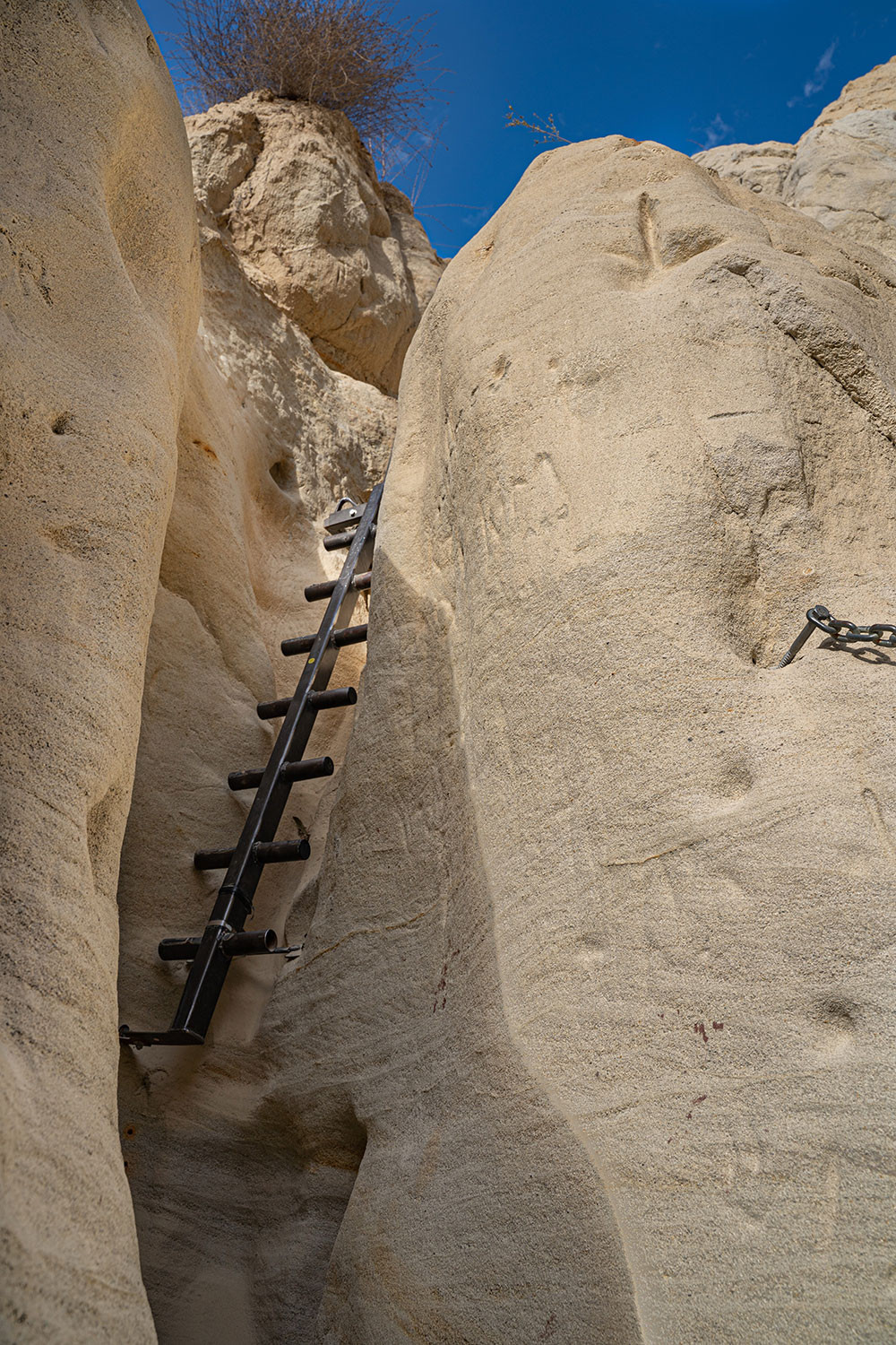 annies-canyon-trail-ladder.jpg