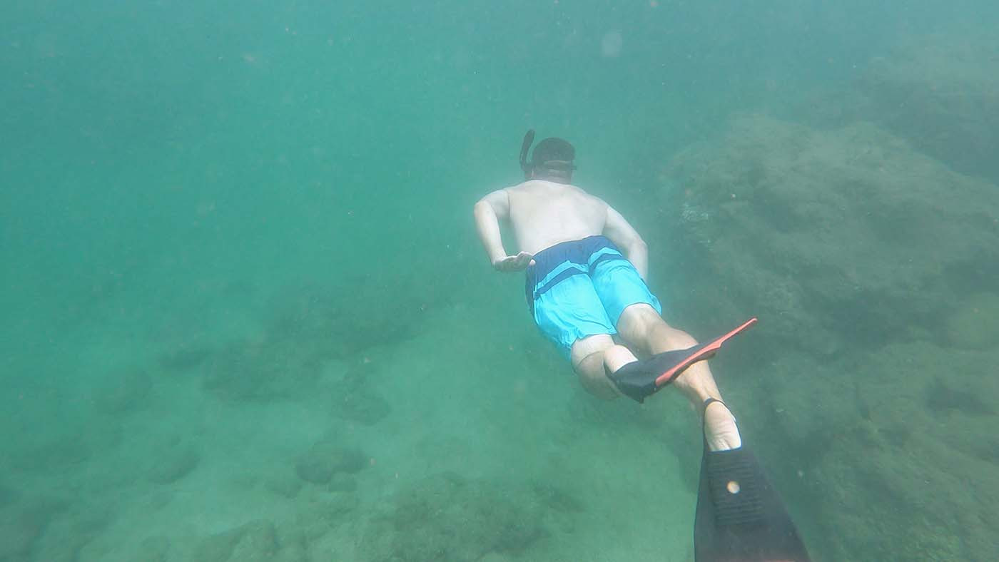 snorkeling-kauai.jpg Snorkeler swimming above the rocky reef at Nualolo Kai