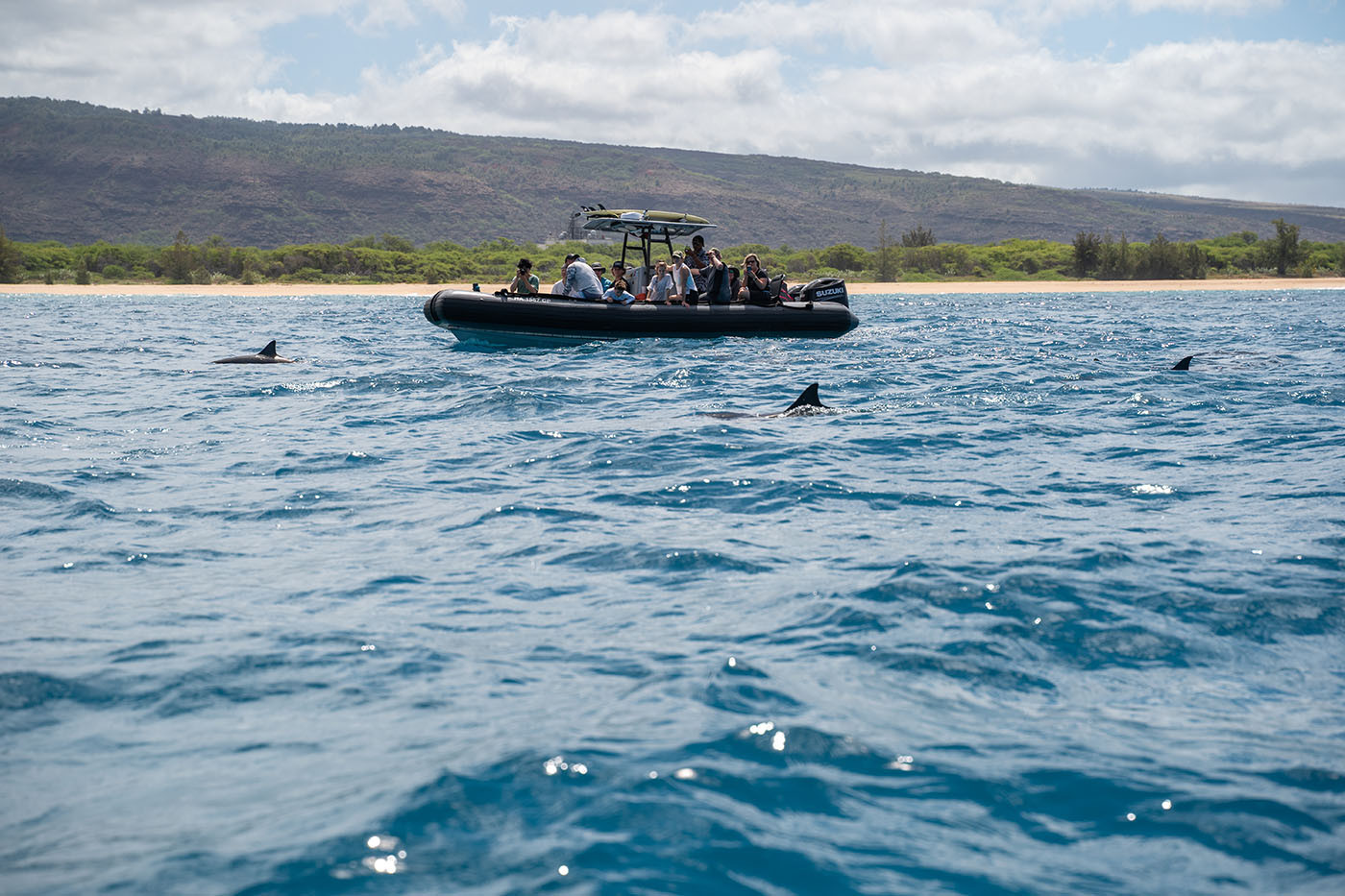 captain-andys-dolphin-1.jpg Dolphins surfacing around a Na Pali Coast tour raft