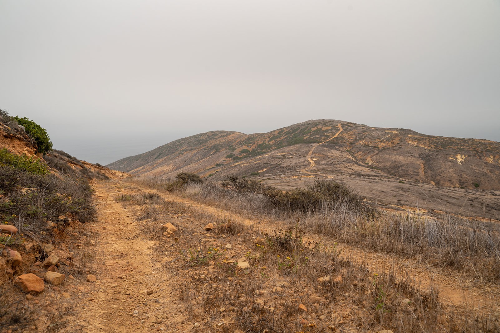 south-point-lighthouse-fork.jpeg