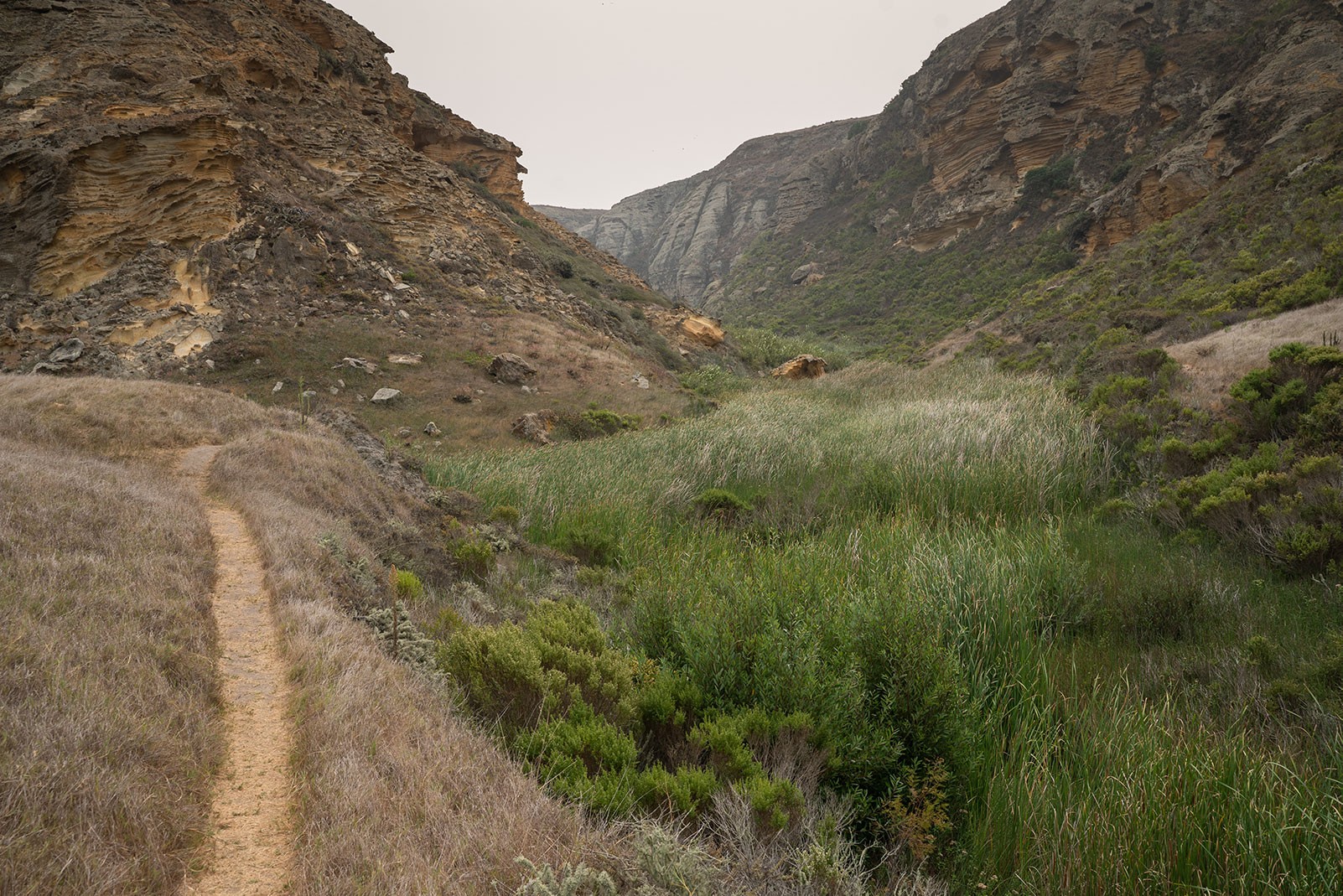 lobo-canyon.jpeg