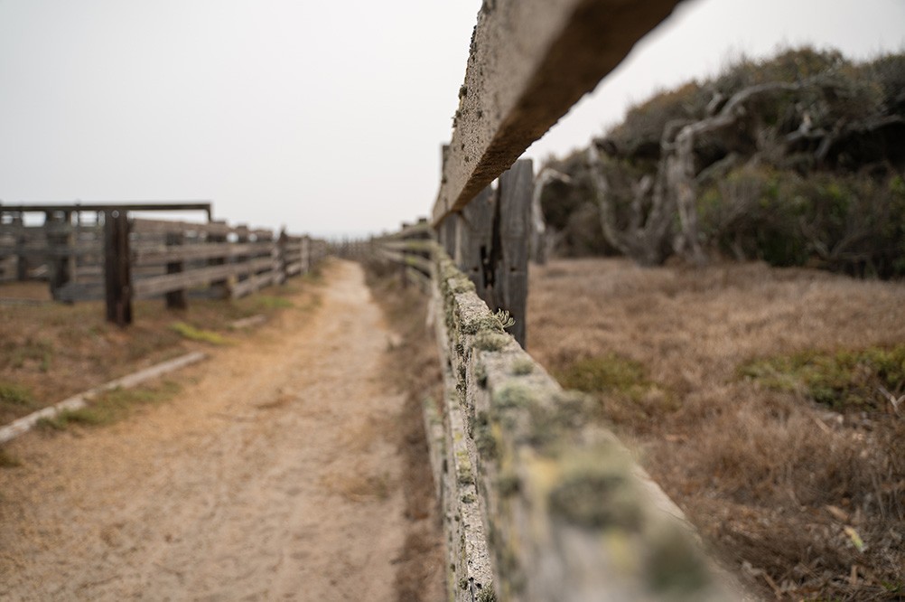 santa-rosa-island-fence-1.jpeg