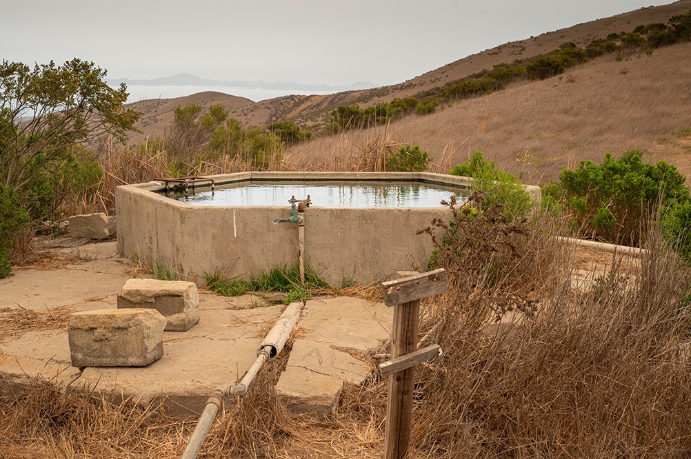 clapp-spring-santa-rosa-island.jpeg
