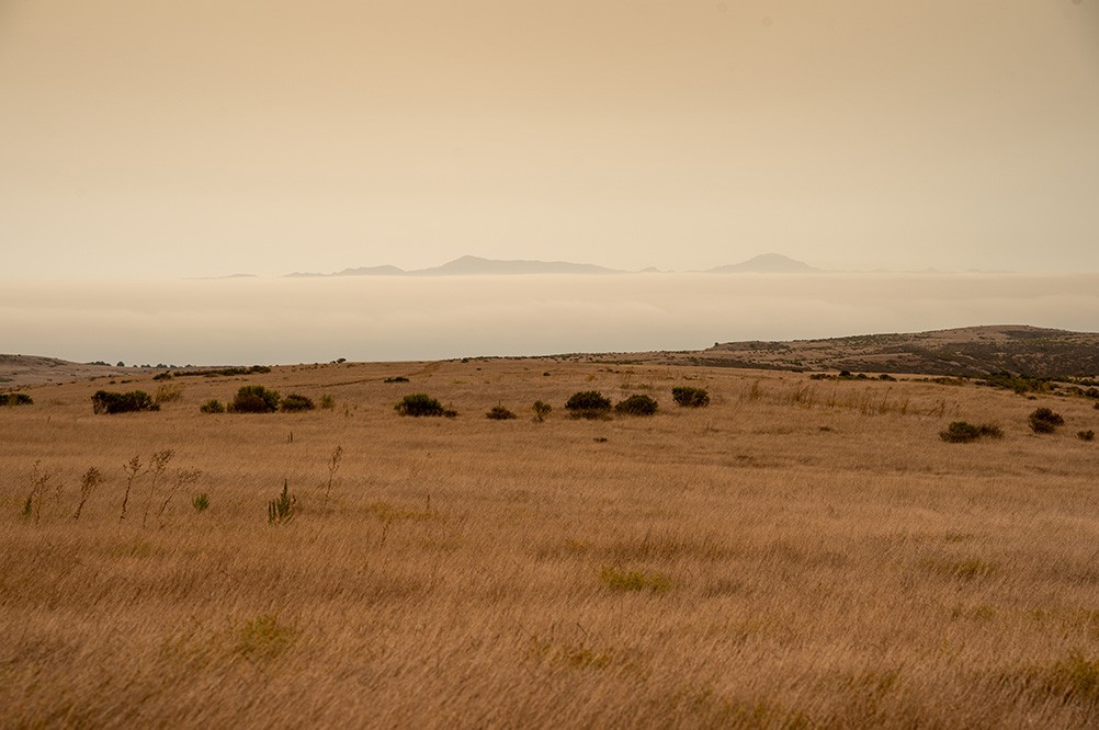 santa-rosa-island-fields.jpeg