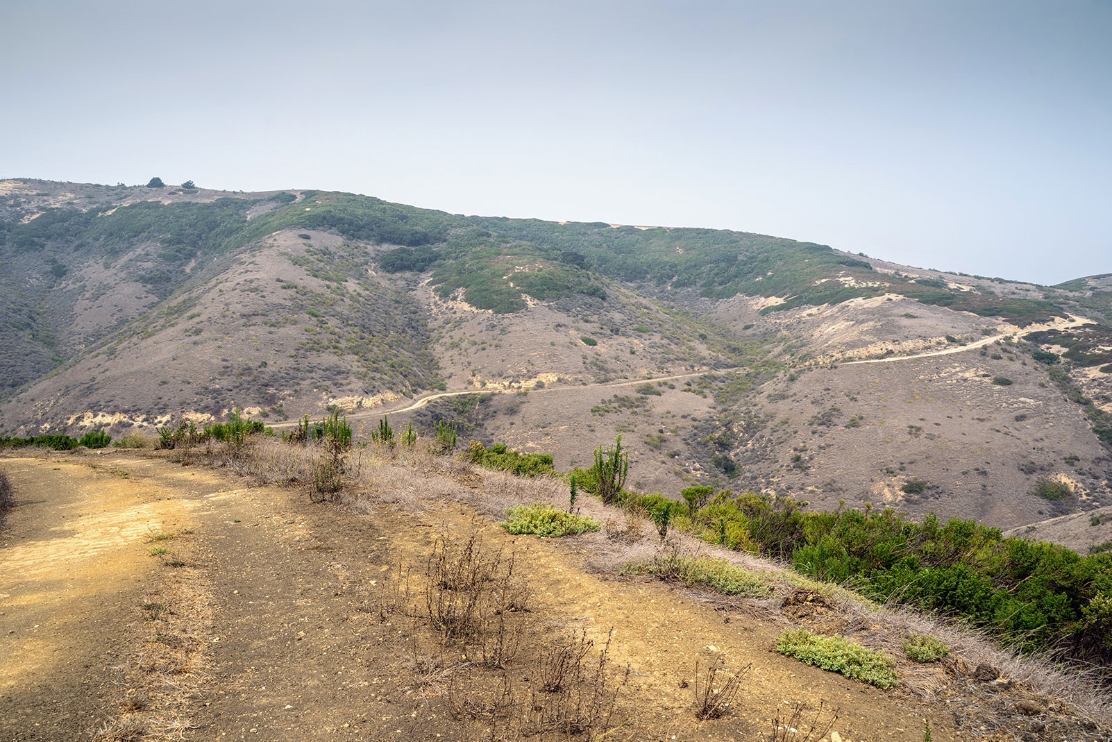 black-mountain-santa-rosa-island.jpeg