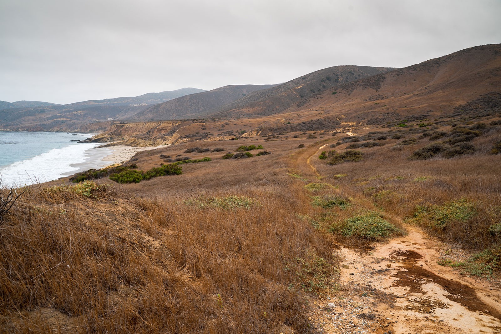 hike-to-officers-beach-santa-rosa-island.jpeg