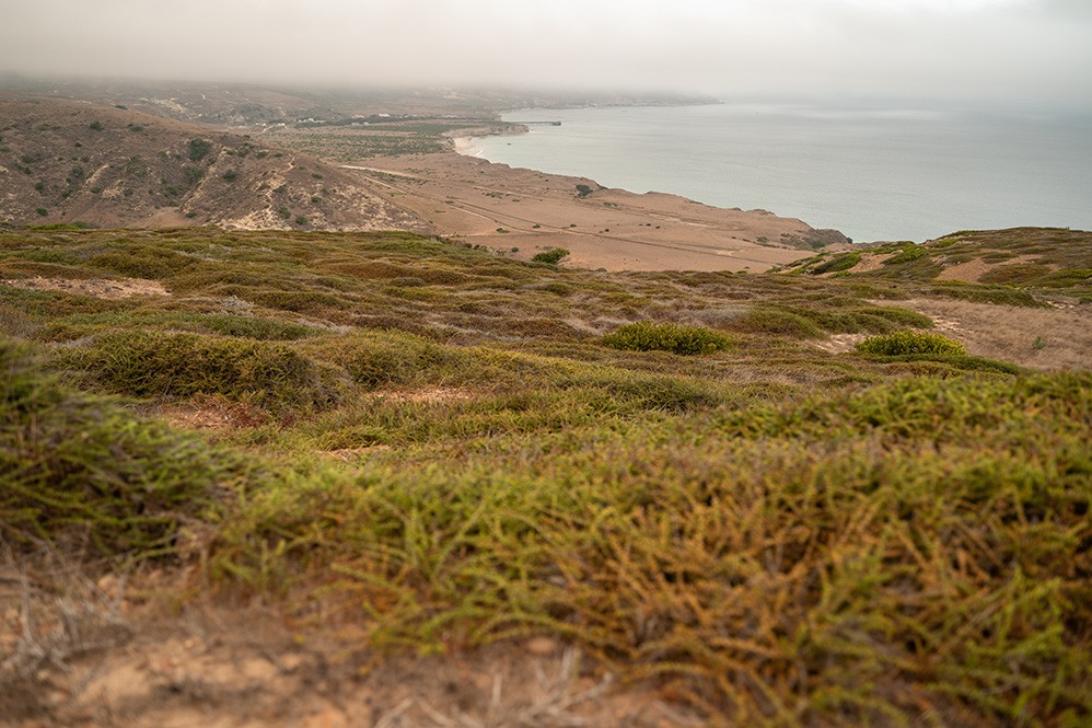 santa-rosa-island-view.jpeg