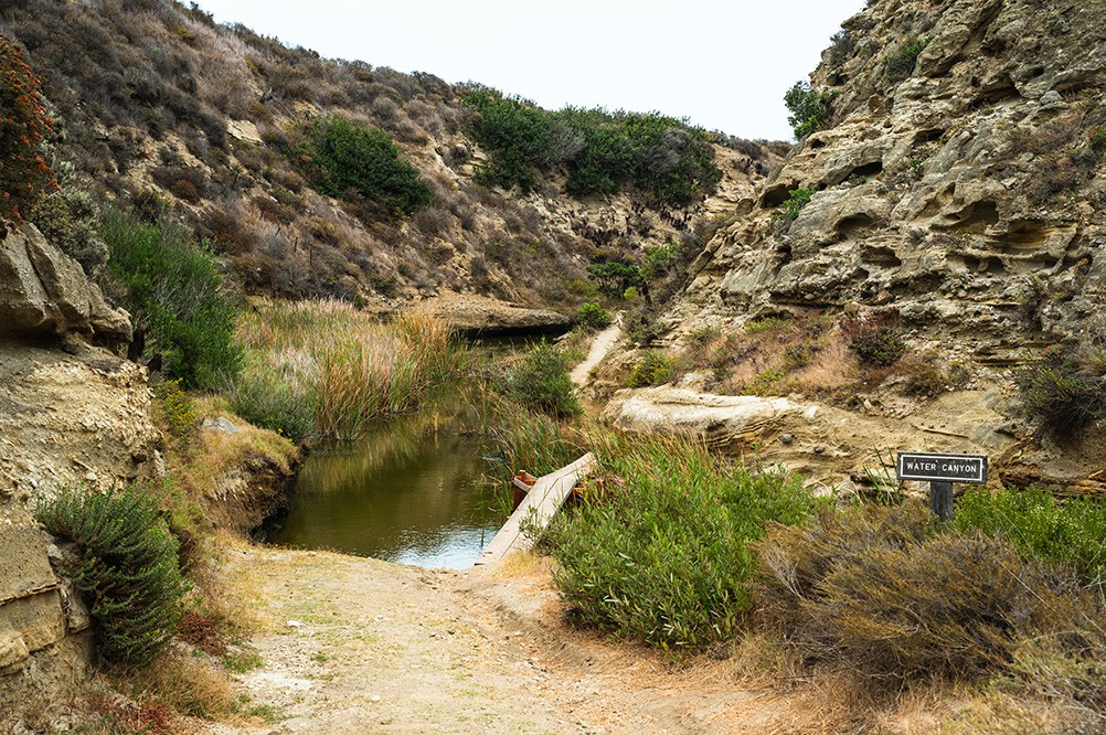 water-canyon-santa-rosa-island.jpeg