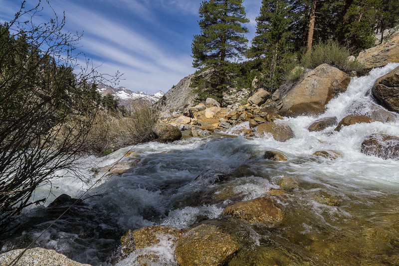 550 cord stretched across the deep rushing stream above Junction Meadow