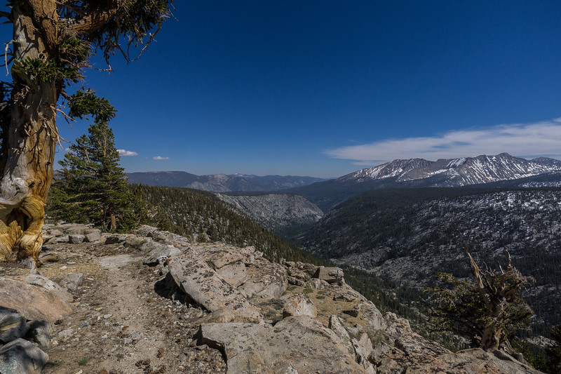 View across the forested Big Arroyo valley from the climbing trail