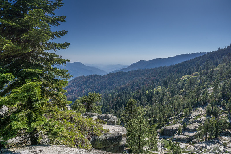 View down the forested Middle Fork Kaweah River valley