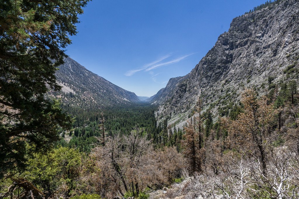 View down the forested Kern River Valley from the switchbacks