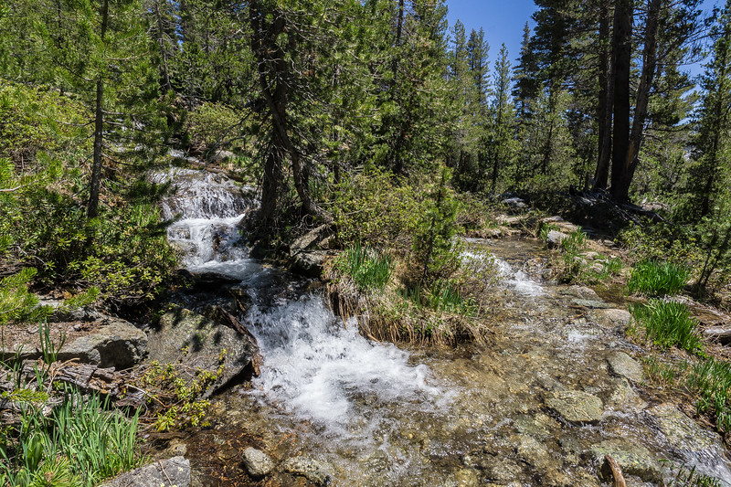 Clear stream flowing through the forest above Big Arroyo