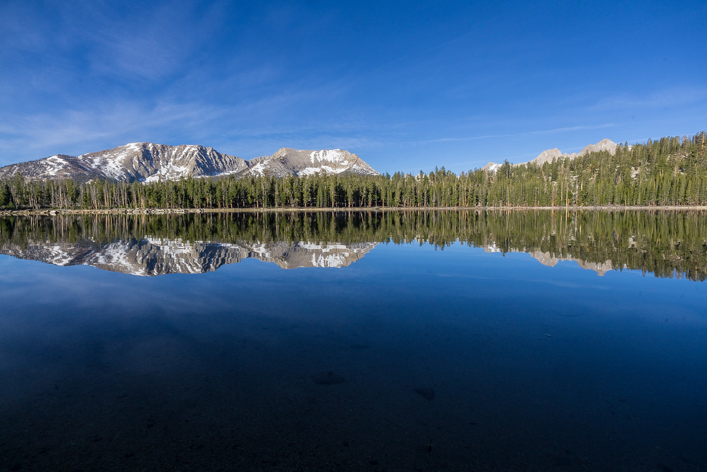 Snowy mountains and pine forest reflected in still Moraine Lake water