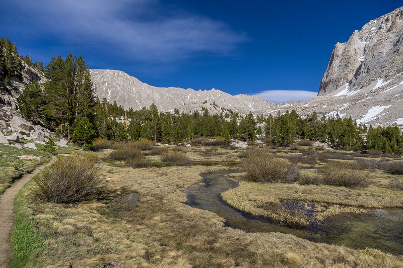 Meandering stream in the meadow below Mount Whitney