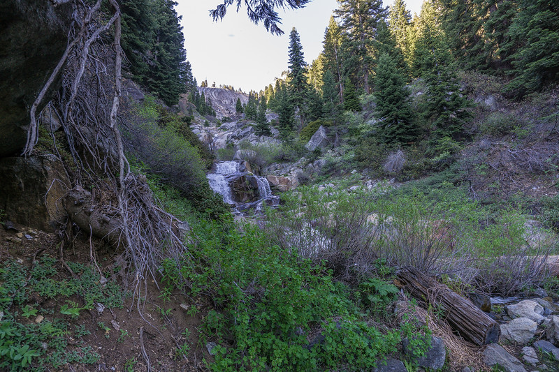 Small cascade tumbling through the forest near Bearpaw Meadow