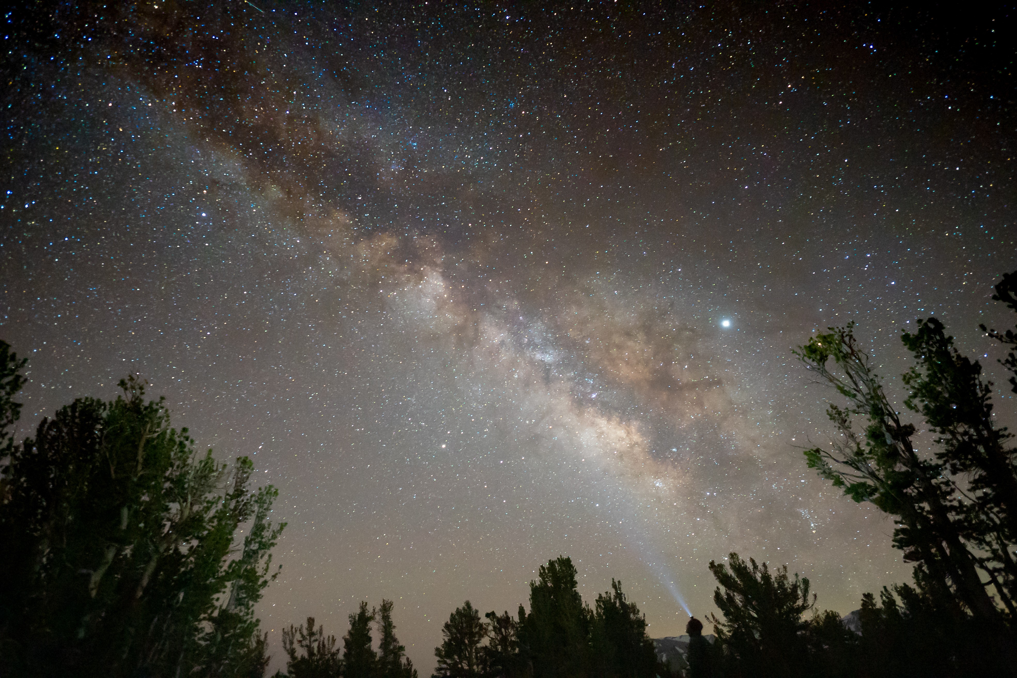 mcj07771.jpeg Milky Way above the pines with a hiker's headlamp shining toward the sky