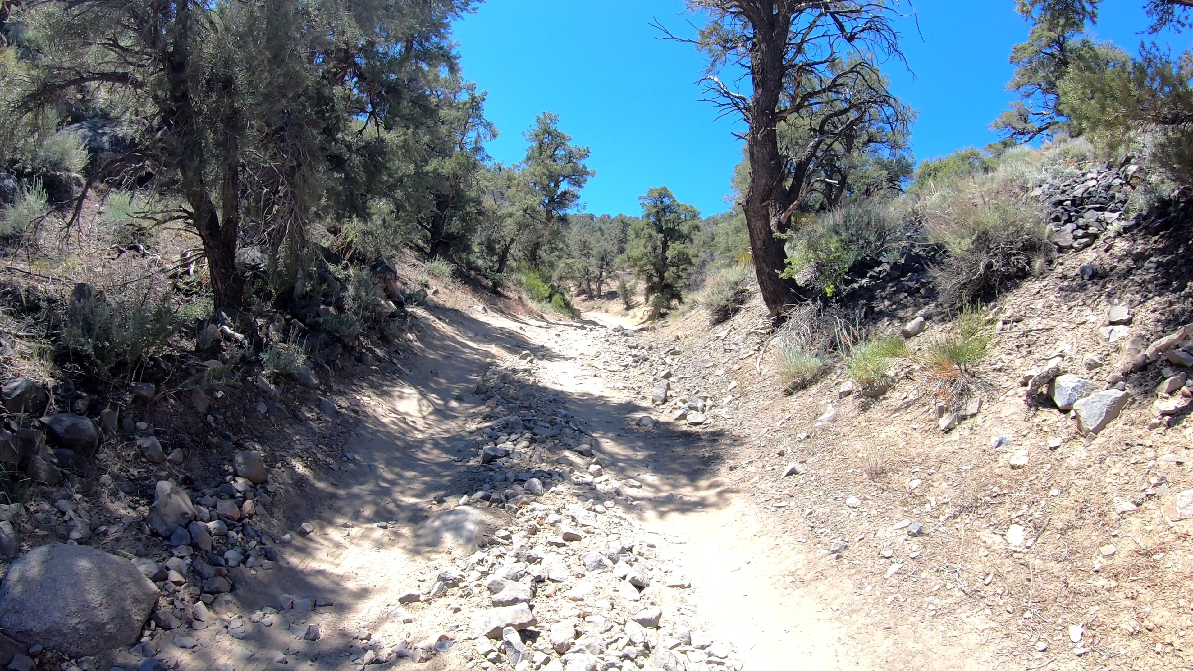 coyote-5-gh050040.jpeg Rock-strewn Coyote Creek Trail winding between mountain trees