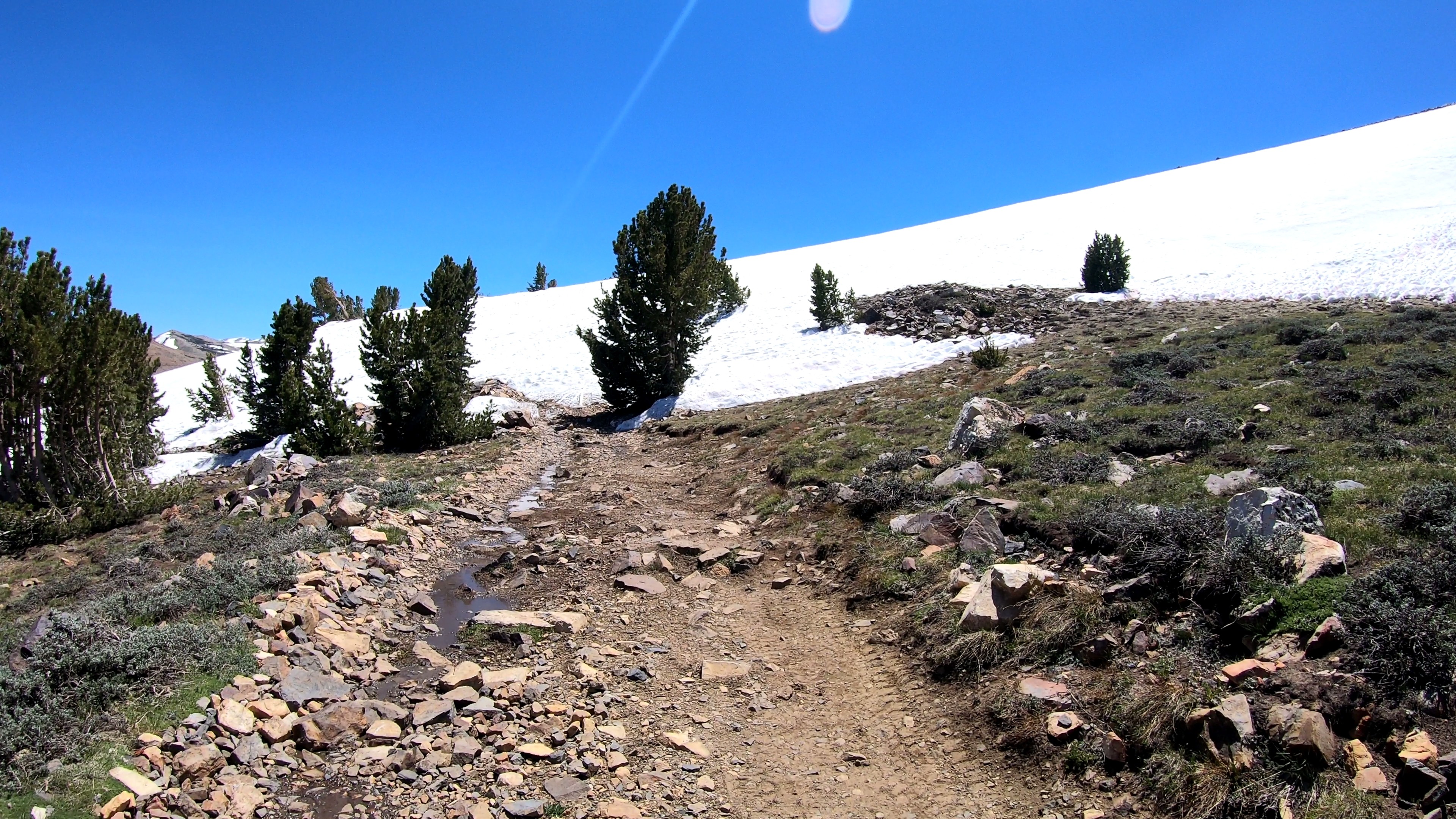 coyote-13-gh020042.jpeg Large snowfield completely blocking the high-elevation road