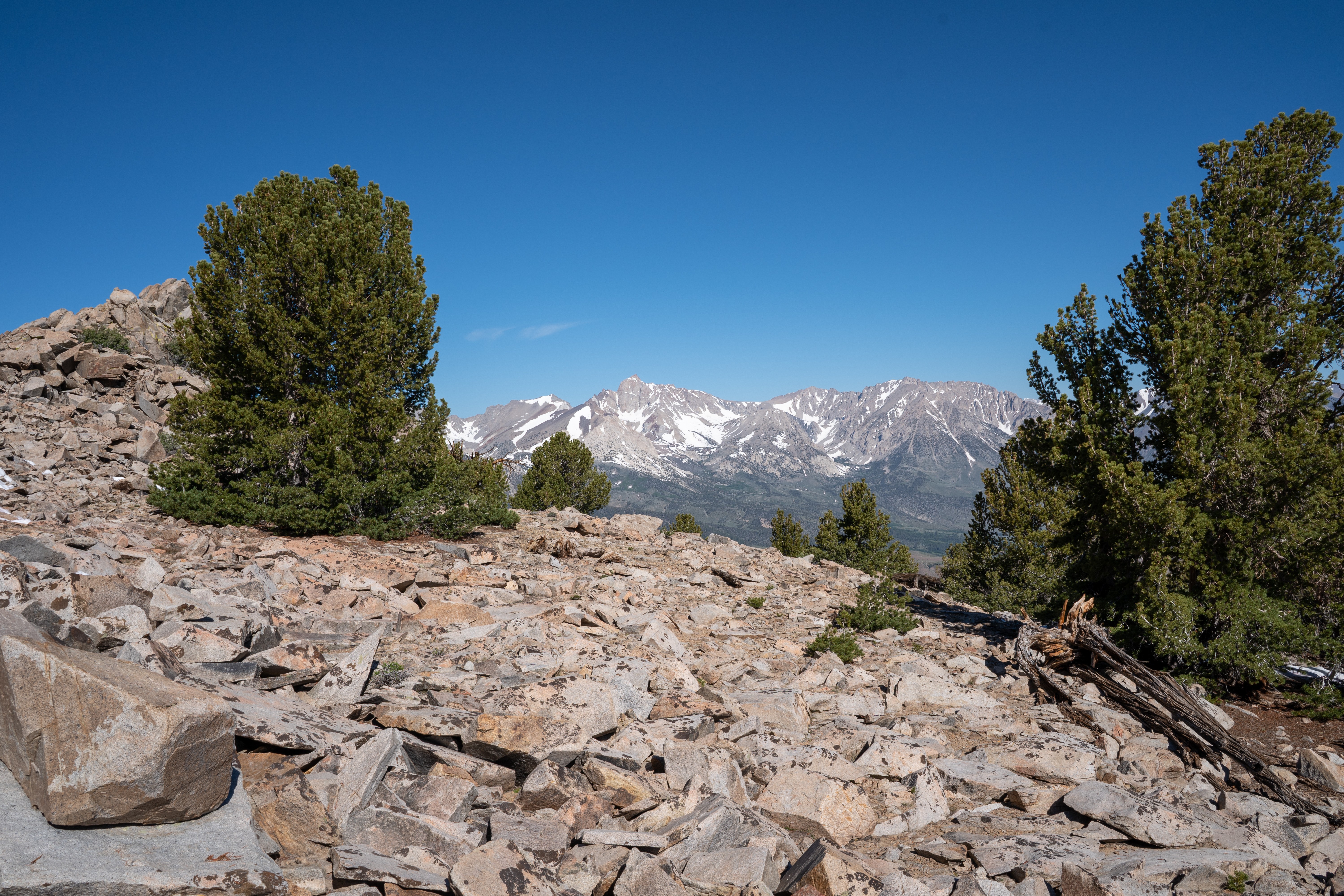 mcj07774.jpeg Rocky campsite ridge with snowcapped Sierra Nevada peaks beyond