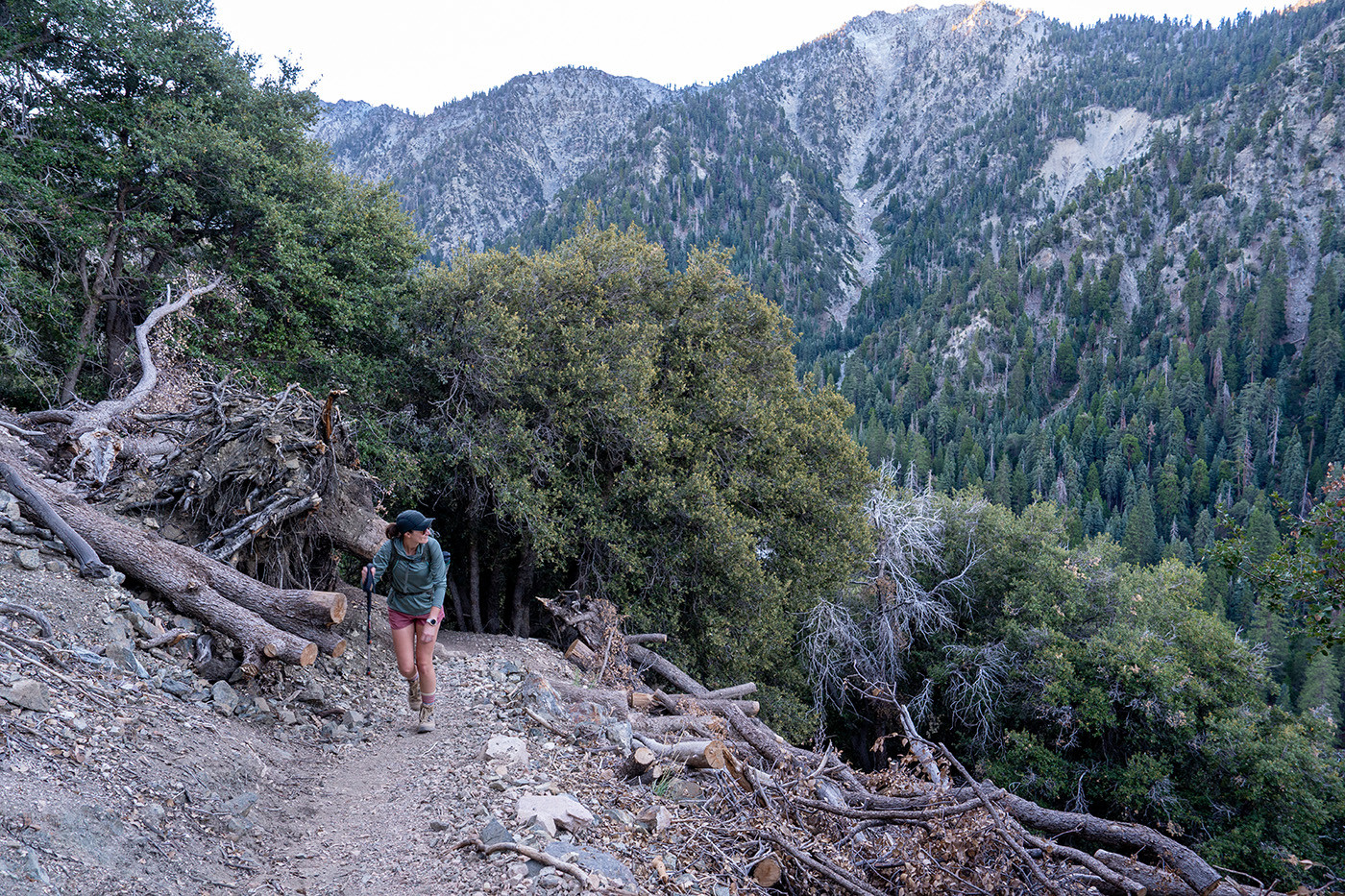 Image description
