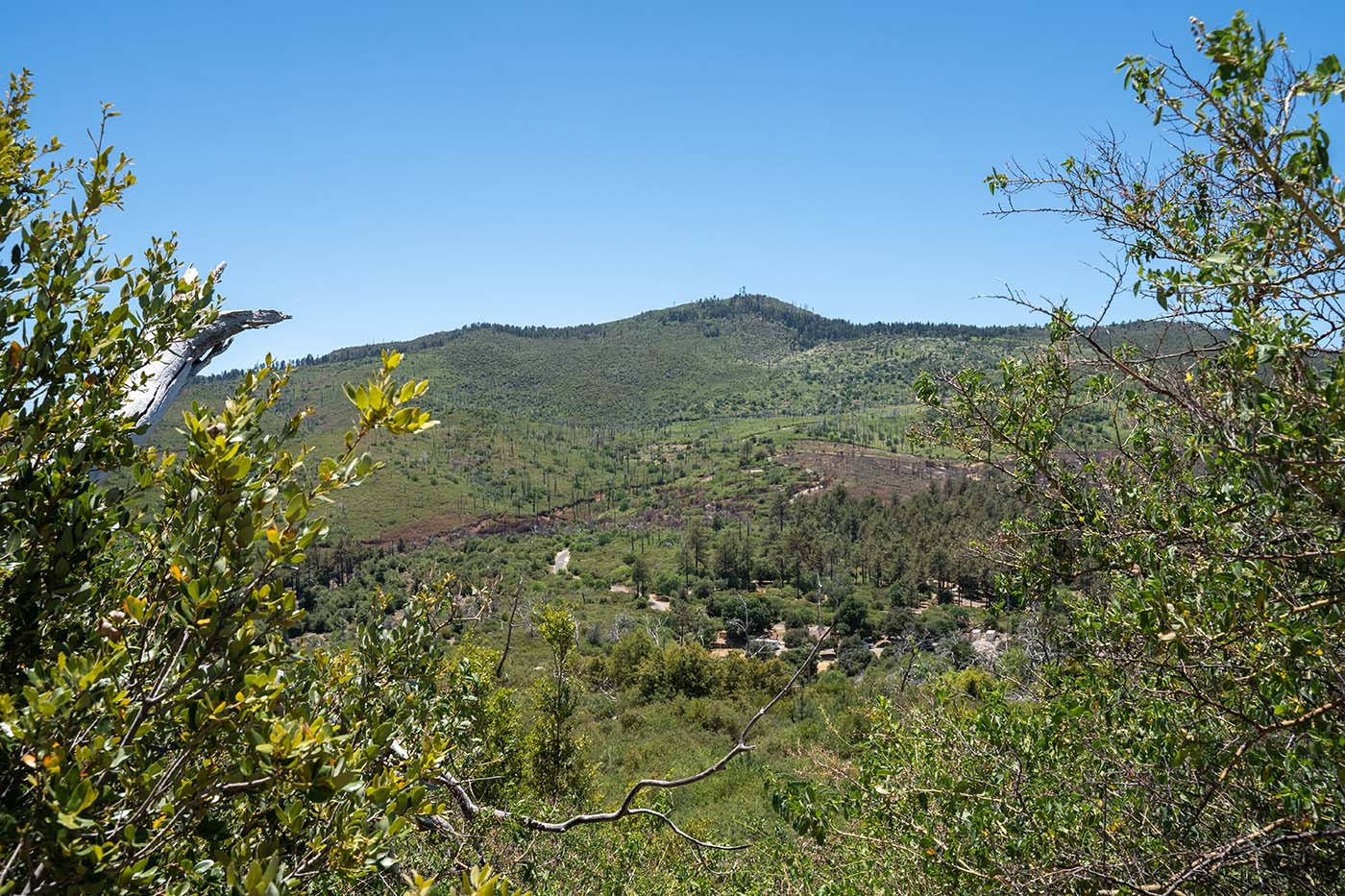 cuyamaca-peak-from-stonewall-peak.jpg