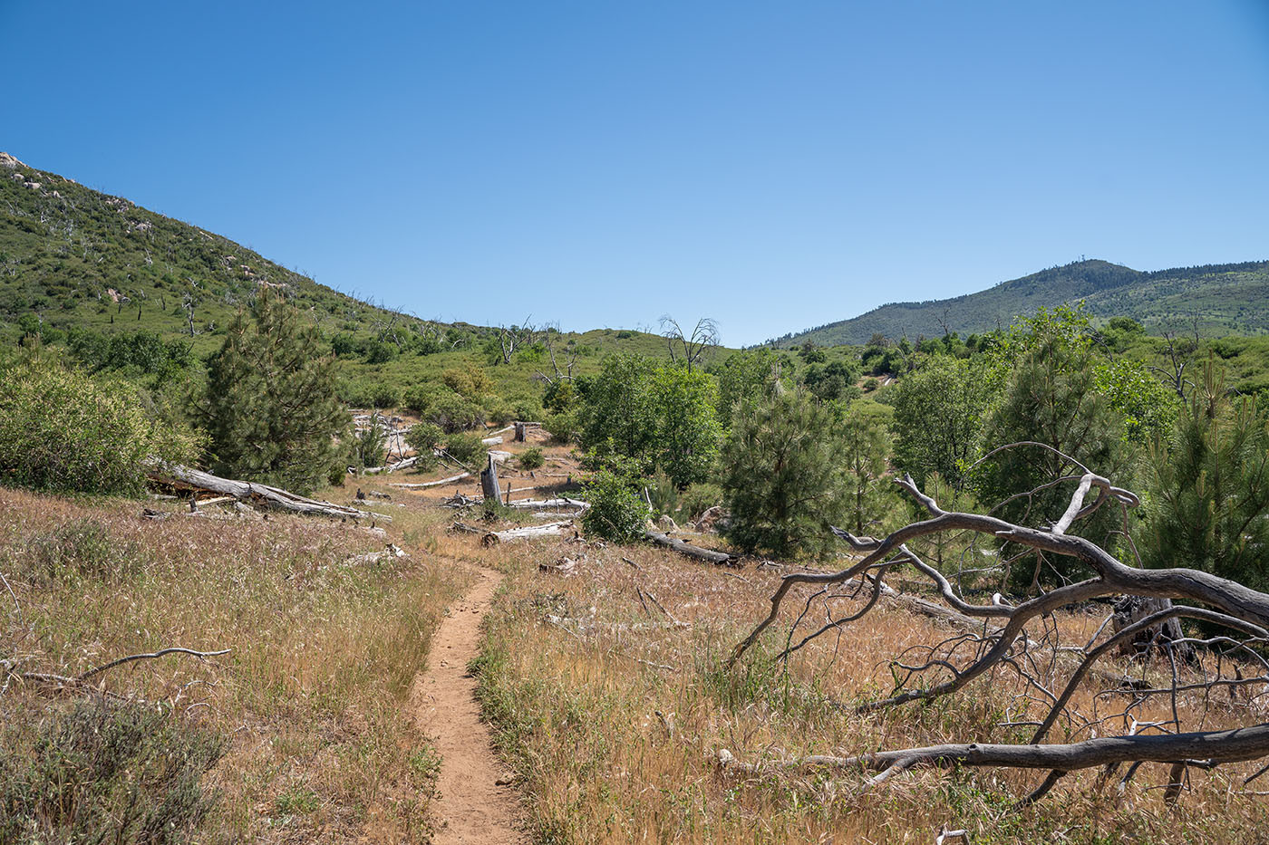stonewall-peak-flats.jpg