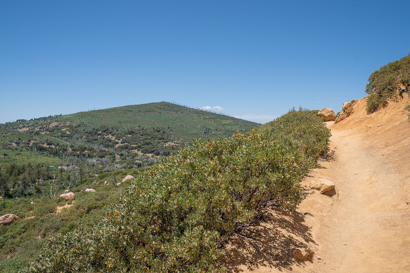 middle-peak.jpg