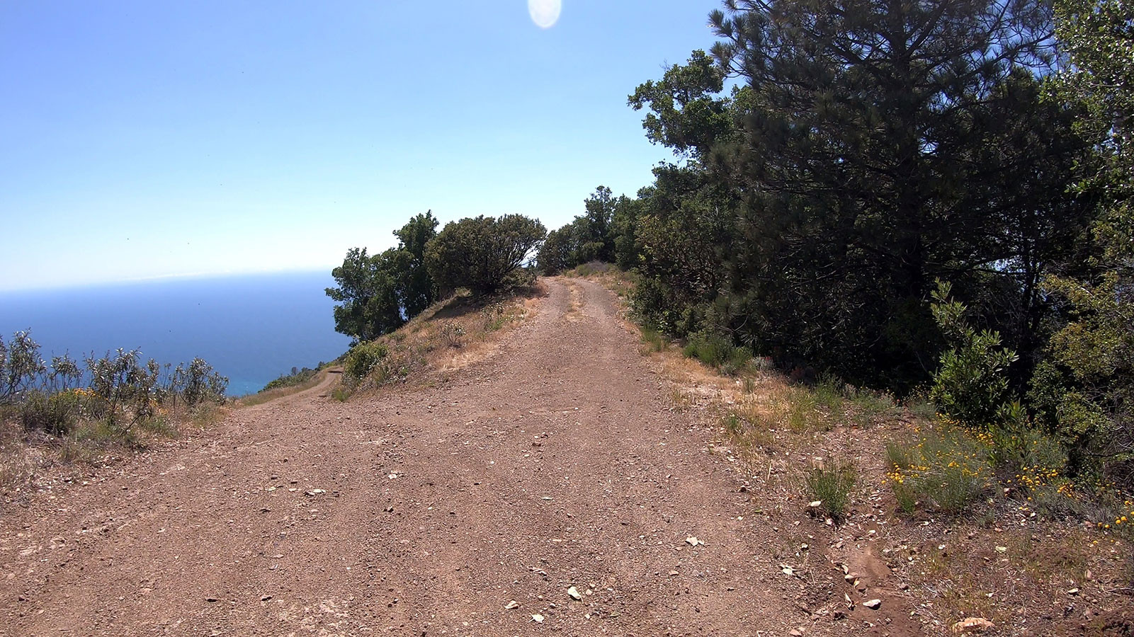 los-burros-road-split.jpeg