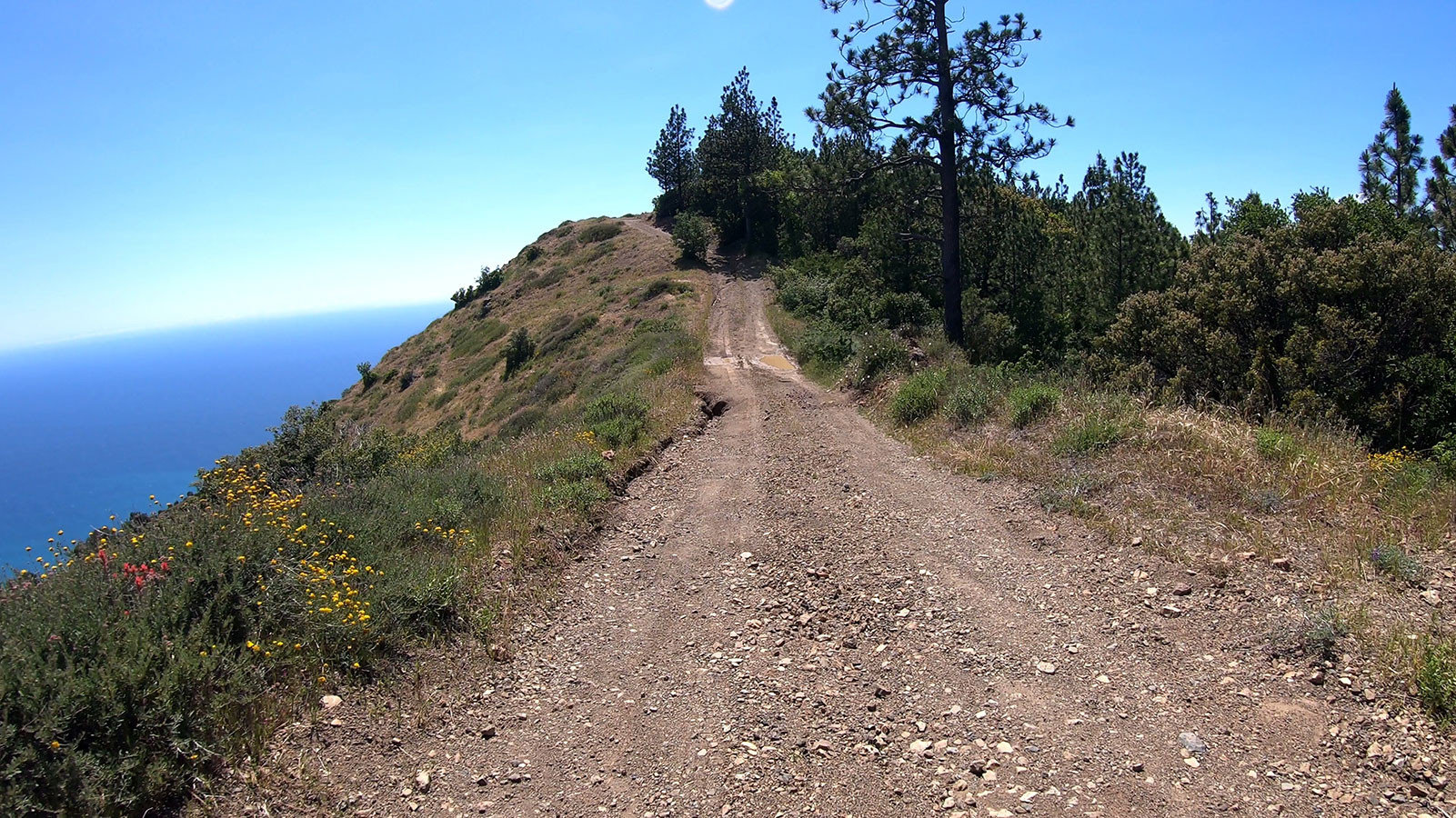 los-burros-road.jpeg