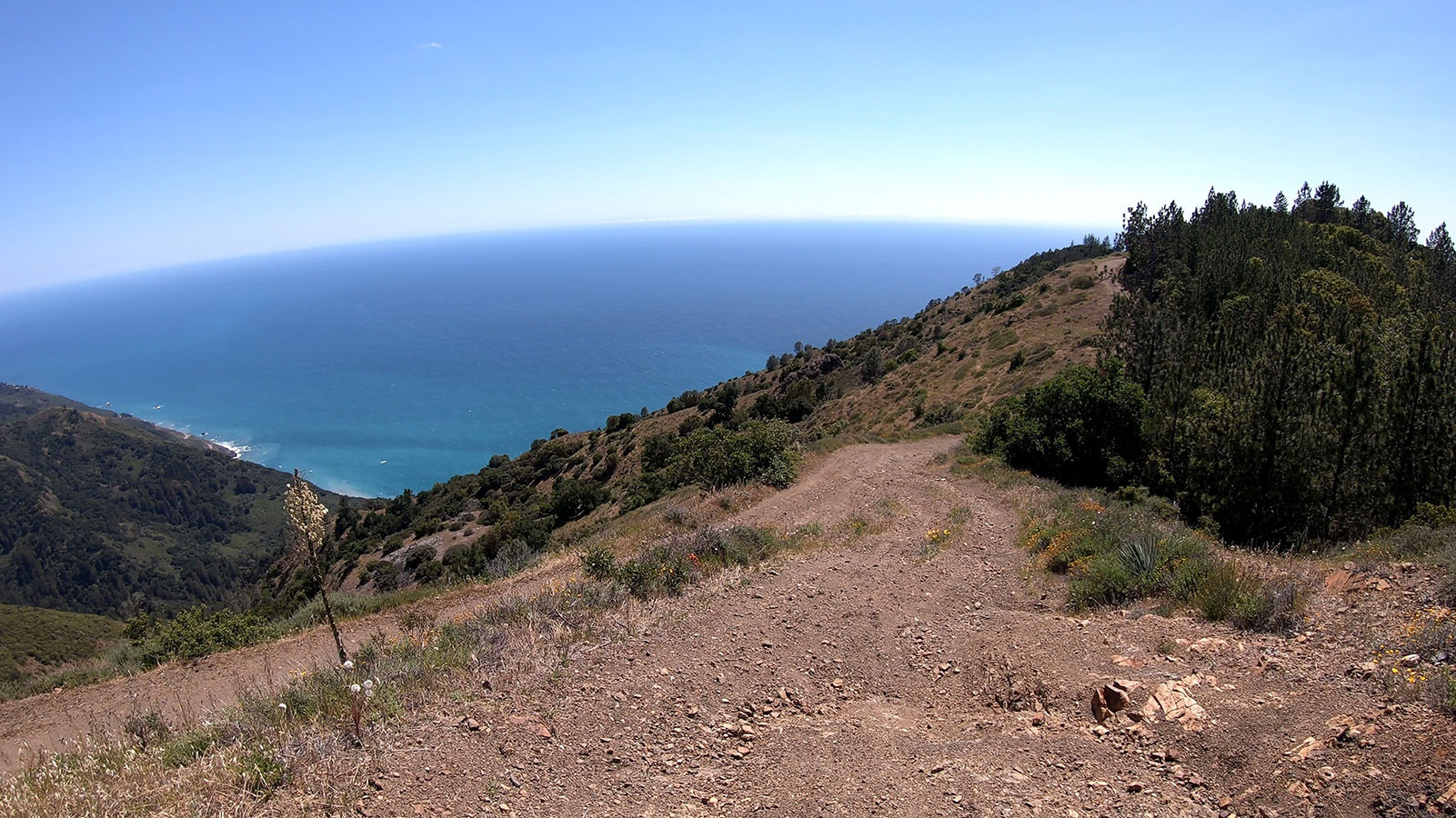 los-burros-road-views.jpeg